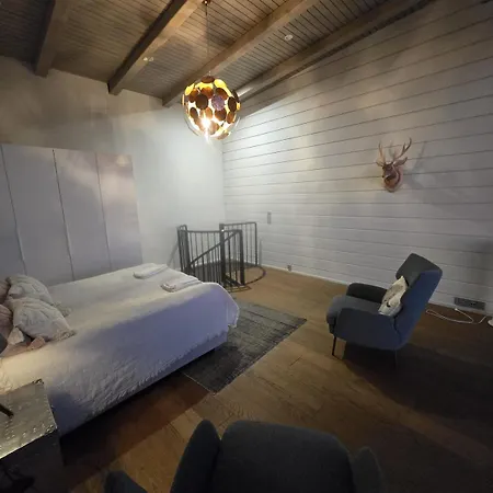 公寓 Naava 303 Loft - Kaksikerroksinen Lasiseinaehuoneisto Jaervinaekoealalla